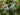 Metal Yard, Garden Art, Bicycle Bike With Basket of tulips, Ground Stake