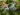 Metal Yard, Garden Art, Bicycle Bike With Basket of tulips, Ground Stake